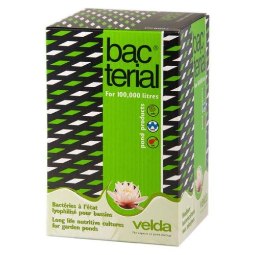 Velda Bacterial 1000ml