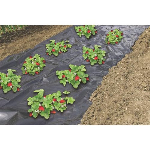 Eperfólia fekete perforált 1,4m x 20m 50mikron