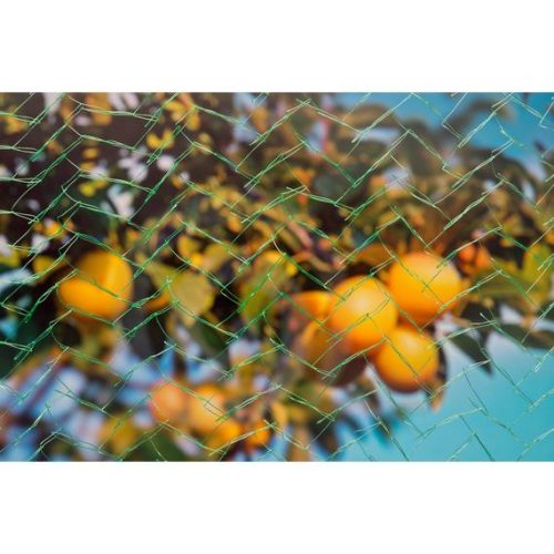 Madárháló 5 x 4m
