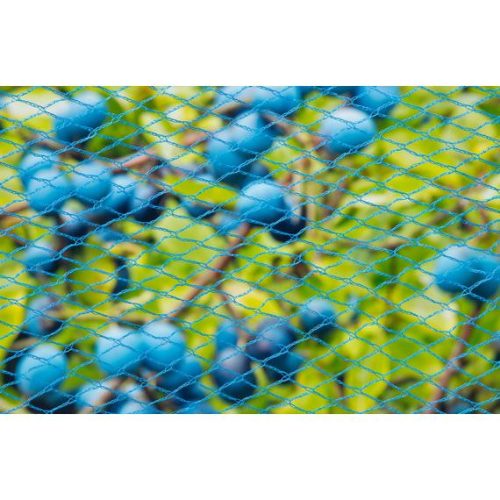 Madárháló kék 8 x 8mm 5 x 4m