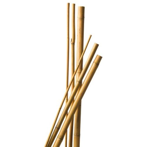 Bambusz növénytámasz 300cm 20-22 mm natúr 3db