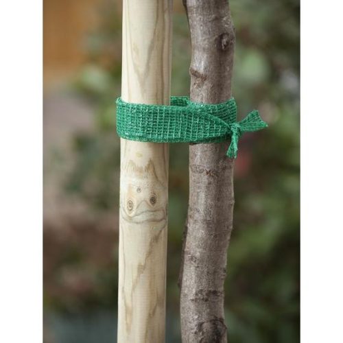 Fatörzs rögzítő zöld 4cm x 2m