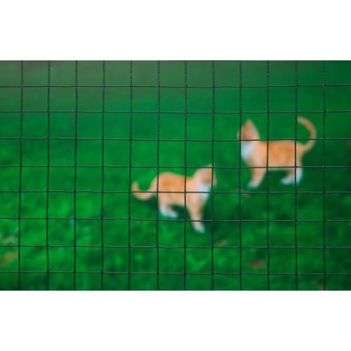 Drótkerítés 13mm x 13mm műanyag bevonattal 1m x 250m