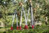 Felco 221-80 kétkezes ágvágó olló