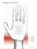 Felco 701 univerzális kerti kesztyű - XL
