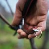 Felco 8 Elite metszőolló