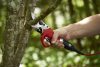 Felco 811 Plus akkumulátoros metszőolló komplett csomag