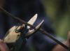 Alpen Wildhorn 32 by FELCO elektromos metszőolló 3 akkumulátorral, kofferben